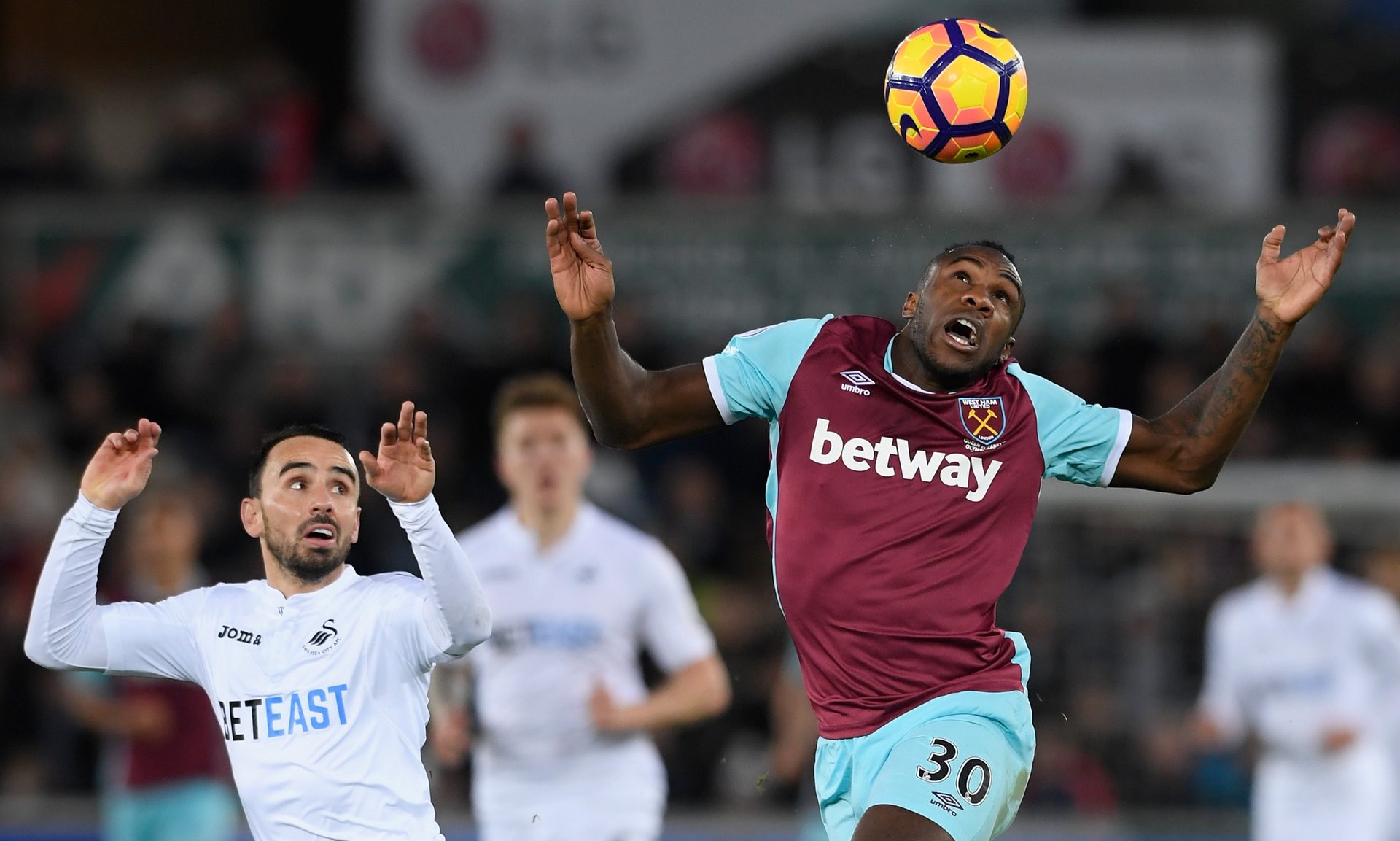 埃利奥特不 埃利奥特不