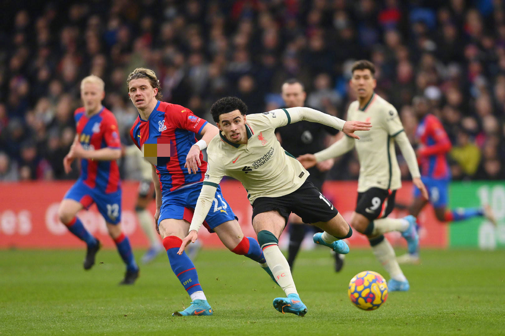 迷和评论员 迷和评论员