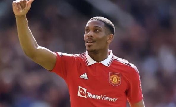 浓眉作为湖 浓眉作为湖